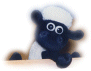 (Shaun)